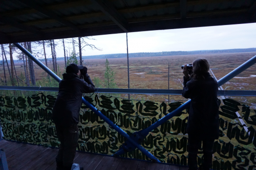 Observation post at<br> the Gusinoe mire