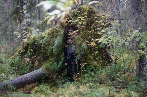 Virgin forest near<br> Gusinoe mire