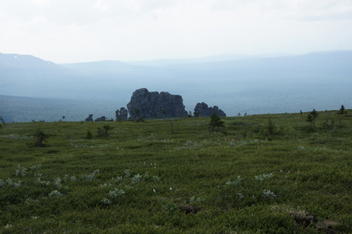 Stone pillars at <br>the Manpupuner Plateau