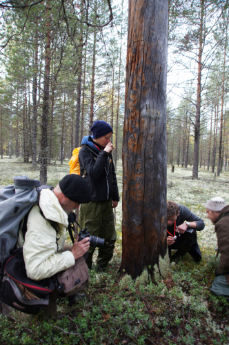 Swedish scientists in <br>the reserve