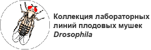 Коллекция лабораторных линий плодовых мушек Drosophila